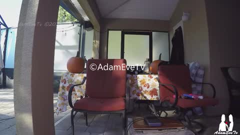 Snapshot of adamevetv chatting on 1, 11, 2025 Adam And Eve online show from 1, 11, 2025