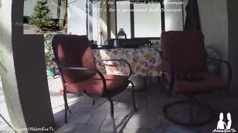 Adam And Eve online show from 21, 12, 2025