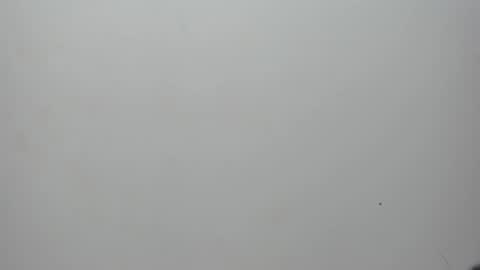 adbel sady online show from 10, 2, 2025