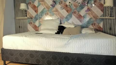addison_avery online show from 20, 7, 2026