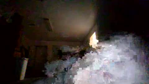 admiral2024 online show from 18, 12, 2024