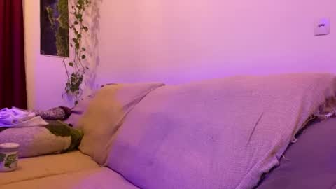 Luci online show from 16, 7, 2026