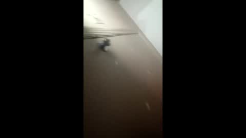 afnuke000 online show from 4, 3, 2026