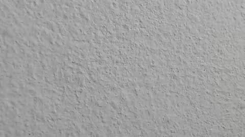 agnes_jones online show from 4, 11, 2025