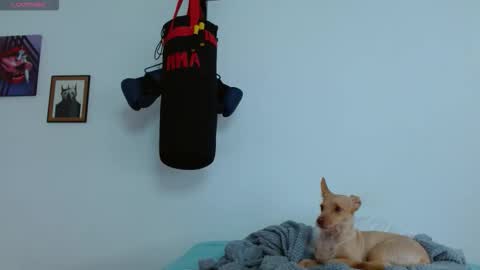 Snapshot of agness_6 chatting on 20, 10, 2025 Agness online show from 20, 10, 2025