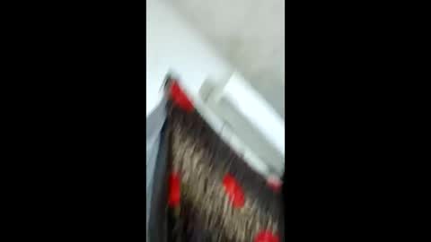 aishaaa777 online show from 26, 12, 2024