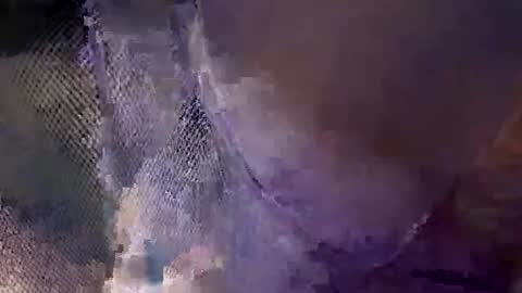 aj297914 online show from 18, 10, 2025