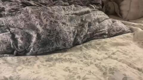 aj86cam online show from 10, 1, 2026