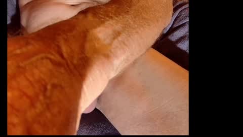 akiwi2 online show from 20, 12, 2024