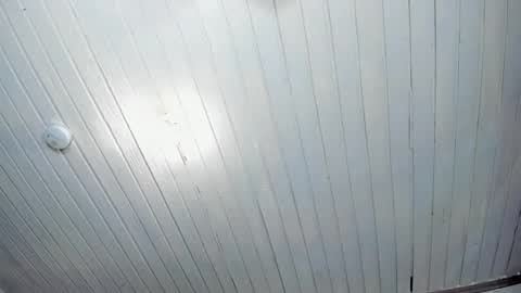 ---Alan--- online show from 24, 2, 2025