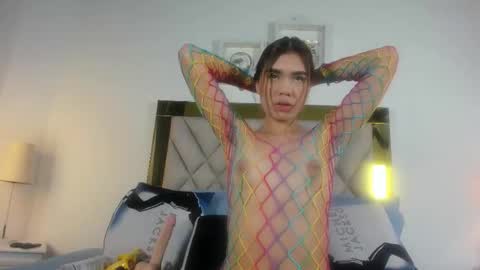 Alana 3 online show from 15, 1, 2026