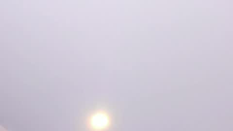 Alanna  online show from 9, 4, 2026