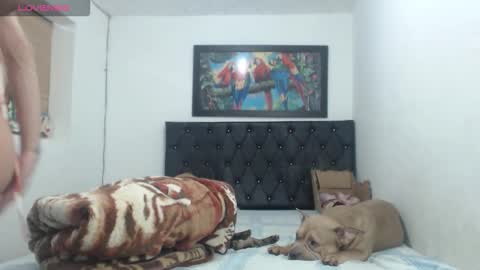 Snapshot of aleja_hornet chatting on 27, 9, 2025 aleja online show from 27, 9, 2025