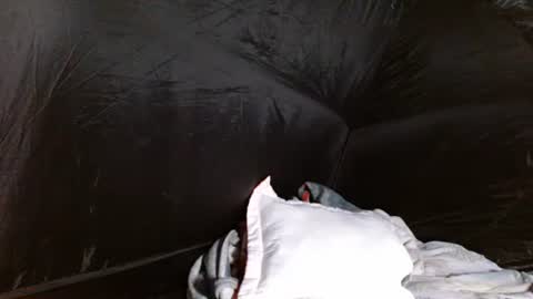 David online show from 14, 12, 2025