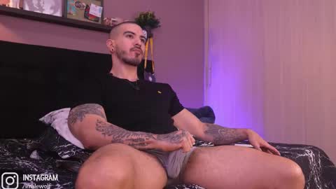 Snapshot of alejo_wolf chatting on 10, 2, 2026 Alejo online show from 10, 2, 2026