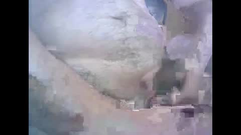 Snapshot of aleksandarcoabatica chatting on 22, 10, 2025 aleksandarcoabatica online show from 22, 10, 2025