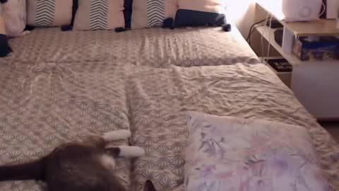 Snapshot of alessandra_foxy chatting on 28, 2, 2025 Sandra online show from 28, 2, 2025