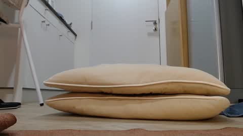 Nicha online show from 5, 11, 2025