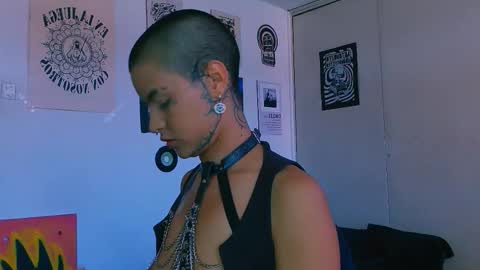 Snapshot of alex_one888 chatting on 27, 2, 2026 Alex online show from 27, 2, 2026