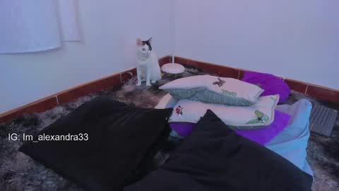 alexa_will online show from 31, 3, 2026