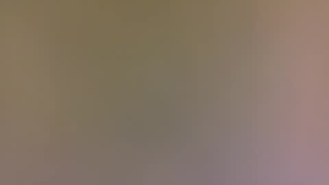 Snapshot of alexfan141 chatting on 31, 10, 2025 alexfan141 online show from 31, 10, 2025