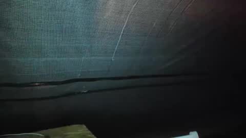 alfiesolomons87 online show from 9, 9, 2025