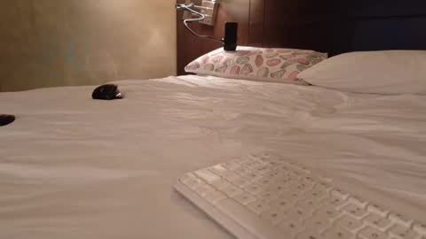 Snapshot of aliasalien008 chatting on 15, 2, 2026 Daddy Girls online show from 15, 2, 2026