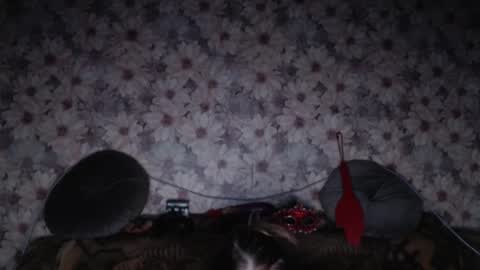 Snapshot of alice_longstocking chatting on 7, 2, 2026 alice longstocking online show from 7, 2, 2026