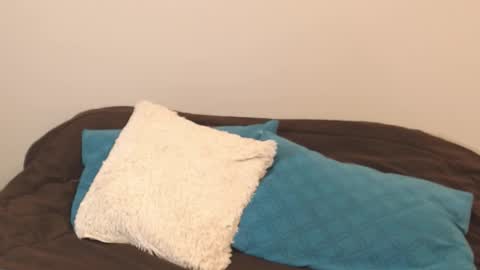 Alice online show from 11, 9, 2025