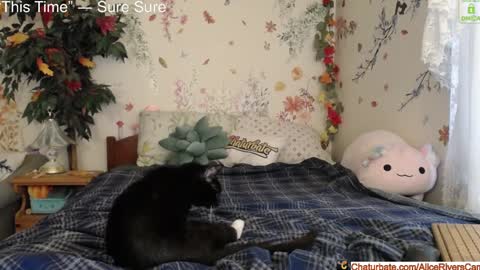 Alice Rivers ---- Enter my public Discord-  online show from 18, 1, 2025