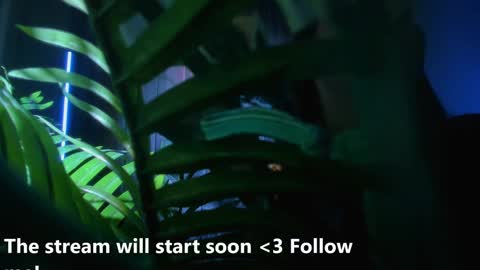 Snapshot of alicia_x_art chatting on 2, 12, 2024 Alicia Lici  online show from 2, 12, 2024