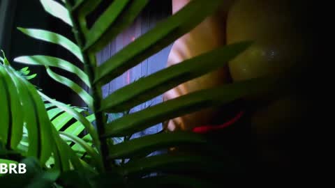 Snapshot of alicia_x_art chatting on 2, 1, 2025 Alicia Lici  online show from 2, 1, 2025