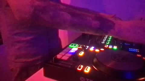 busco rockera online show from 11, 3, 2025