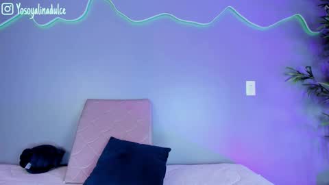    online show from 18, 9, 2025