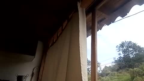 Alisson369  online show from 13, 2, 2025