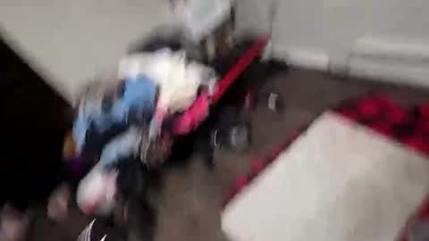 alldickandass11 online show from 10, 2, 2026