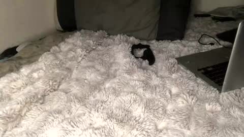 Snapshot of allthewayup10 chatting on 2, 3, 2025 allthewayup10 online show from 2, 3, 2025