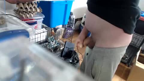 allwolf0323 online show from 14, 4, 2026