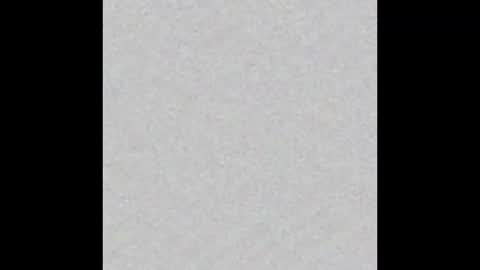 aloixe online show from 10, 11, 2025