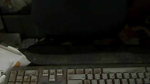 Loooopy online show from 24, 7, 2026