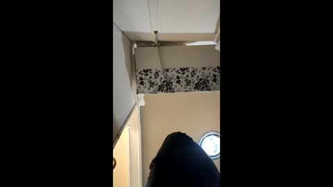 alostmale online show from 13, 11, 2025