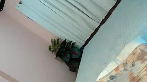 Snapshot of alove_too_last chatting on 4, 2, 2025 LEXY online show from 4, 2, 2025