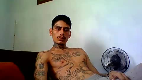 Alpha Zom online show from 24, 4, 2026