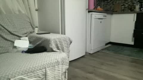 AlphAndre online show from 22, 2, 2025