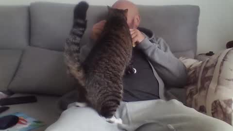 alsi72 online show from 18, 1, 2026