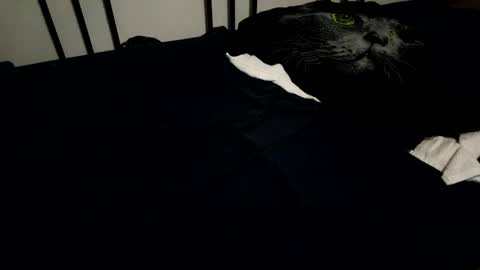 Snapshot of amadeusz chatting on 6, 12, 2024 amadeusz online show from 6, 12, 2024