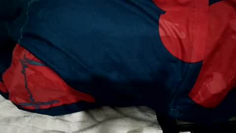 Snapshot of amadeusz chatting on 22, 12, 2024 amadeusz online show from 22, 12, 2024