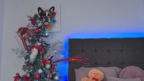 Amanda online show from 14, 12, 2025