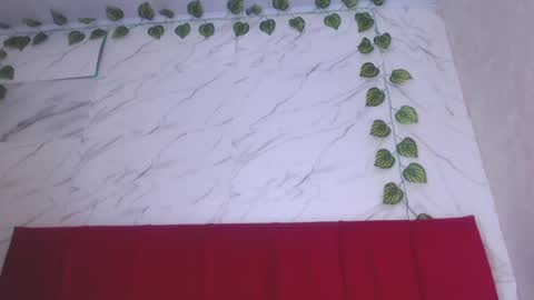 amandacanelacm101 online show from 14, 6, 2026