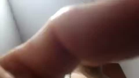 amantes608196 online show from 1, 7, 2026